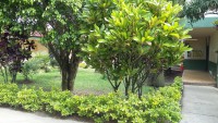 /album/fotogaleria-evidencias/a20150604-092830-jpg1/