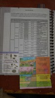 /album/fotogaleria-trabajo-en-clase/a3-jpg/